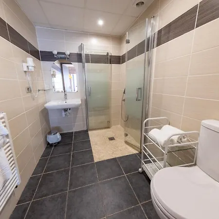 Hotel Logis & Restaurant Mediterranee 3*