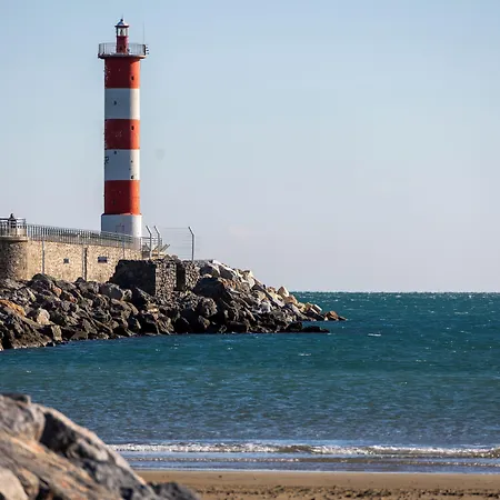 Hotel Logis & Restaurant Mediterranee 3*